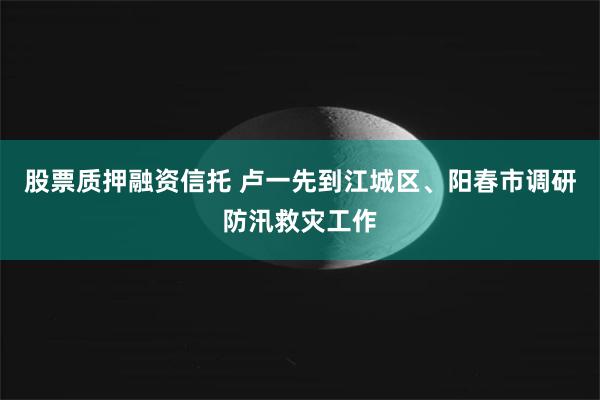 股票质押融资信托 卢一先到江城区、阳春市调研防汛救灾工作